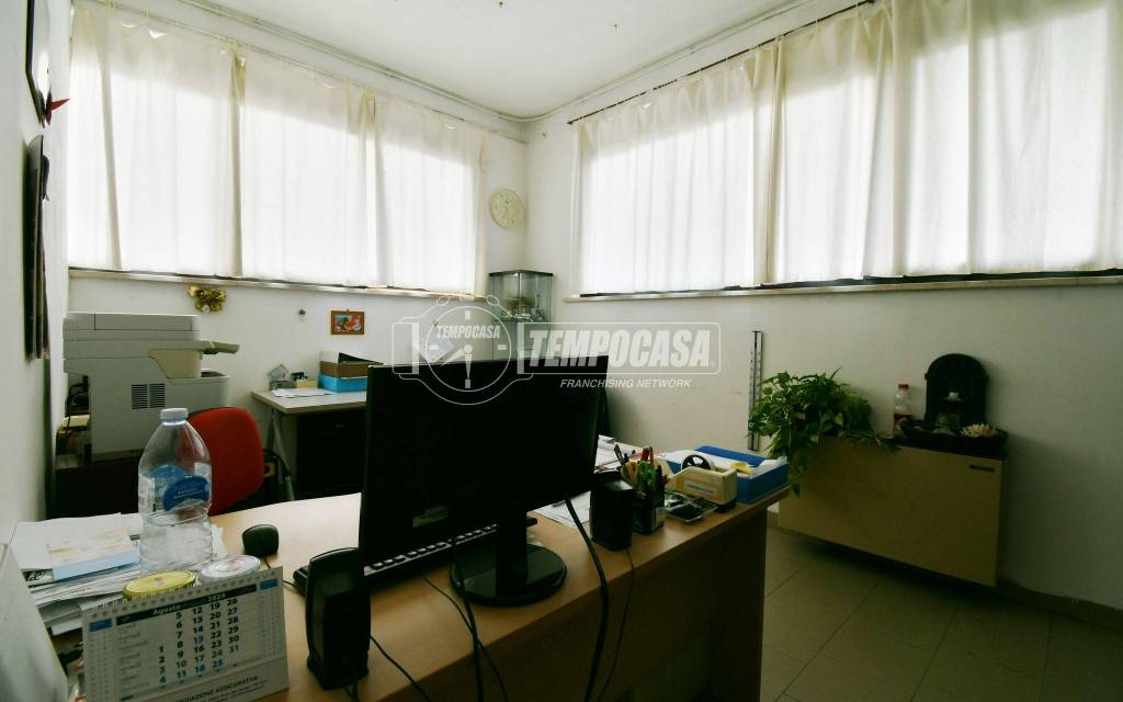 immagine annuncio 6 di 11