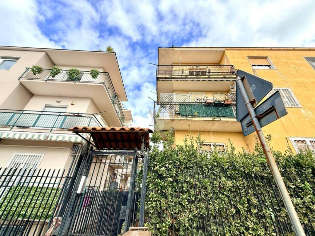 immagine annuncio 1 di 12