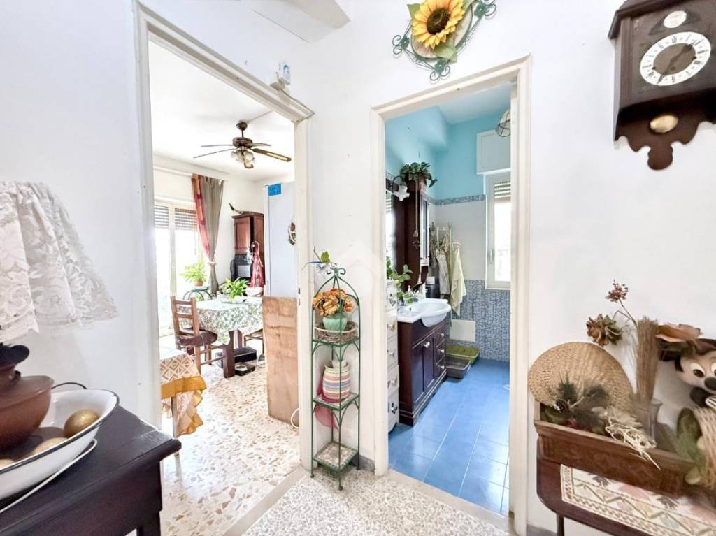 immagine annuncio 5 di 12