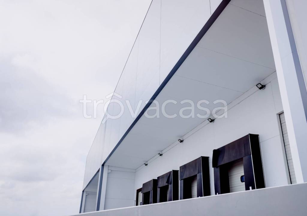 immagine annuncio 2 di 9