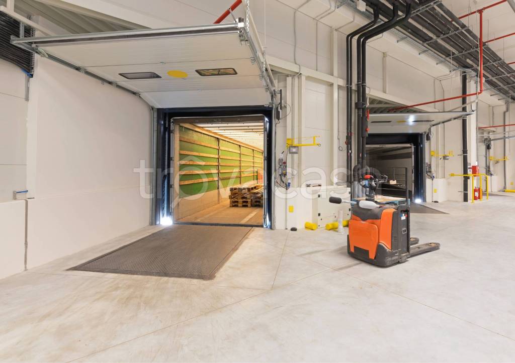 immagine annuncio 3 di 9