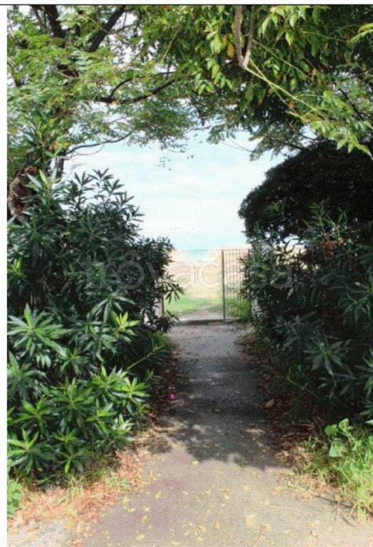 immagine annuncio 6 di 12