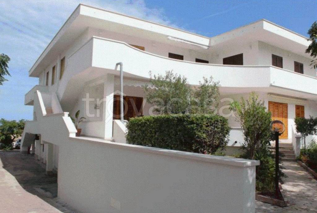 immagine annuncio 9 di 12