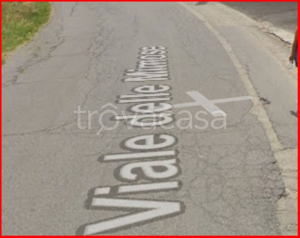 immagine annuncio 3 di 12