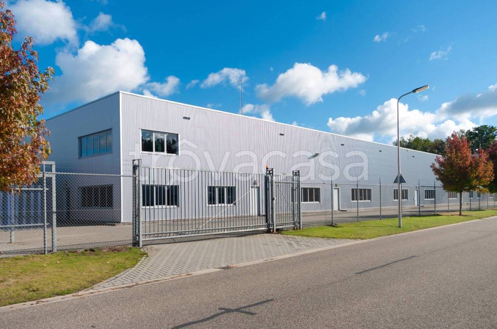 immagine annuncio 11 di 12