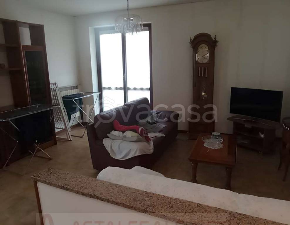 immagine annuncio 2 di 12