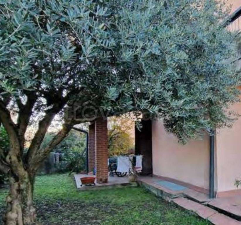 immagine annuncio 7 di 14