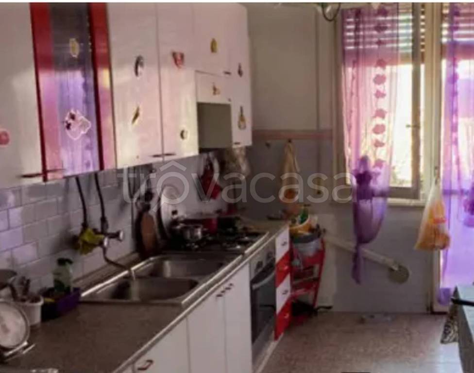 immagine annuncio 7 di 14