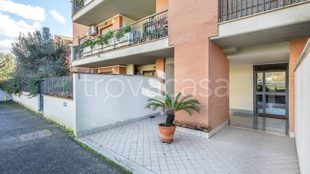 immagine annuncio 2 di 14