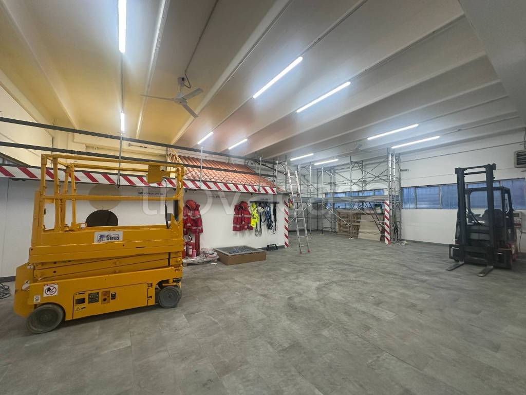 immagine annuncio 9 di 15