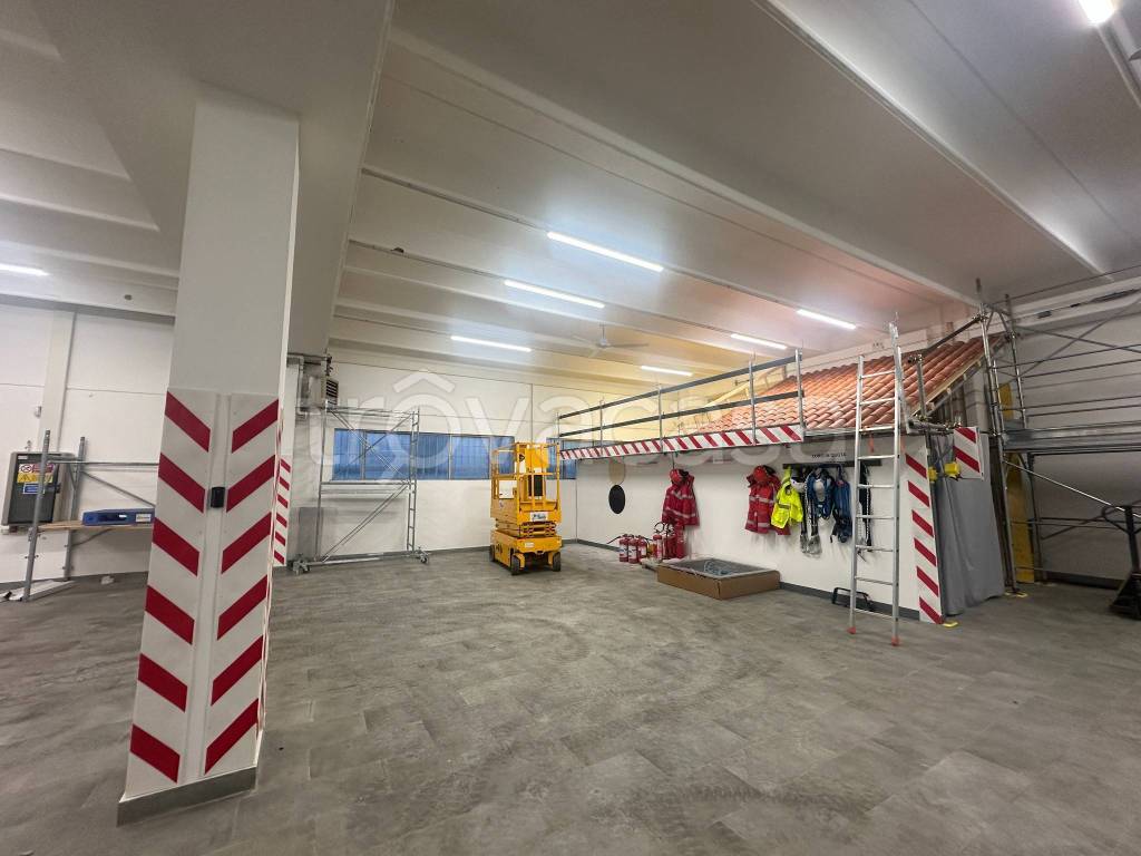 immagine annuncio 11 di 15