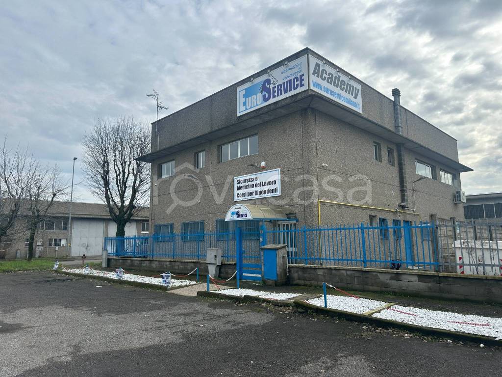 immagine annuncio 2 di 15