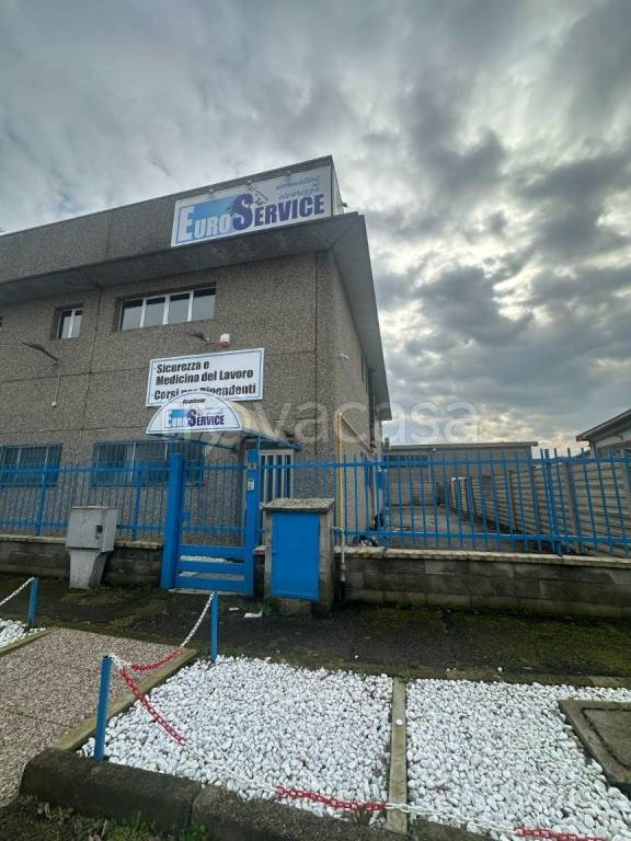 immagine annuncio 3 di 15