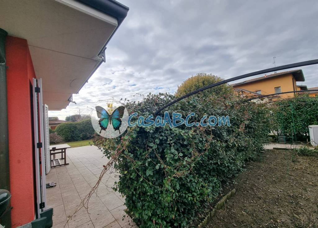 immagine annuncio 4 di 15