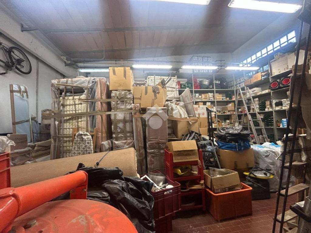 immagine annuncio 7 di 15