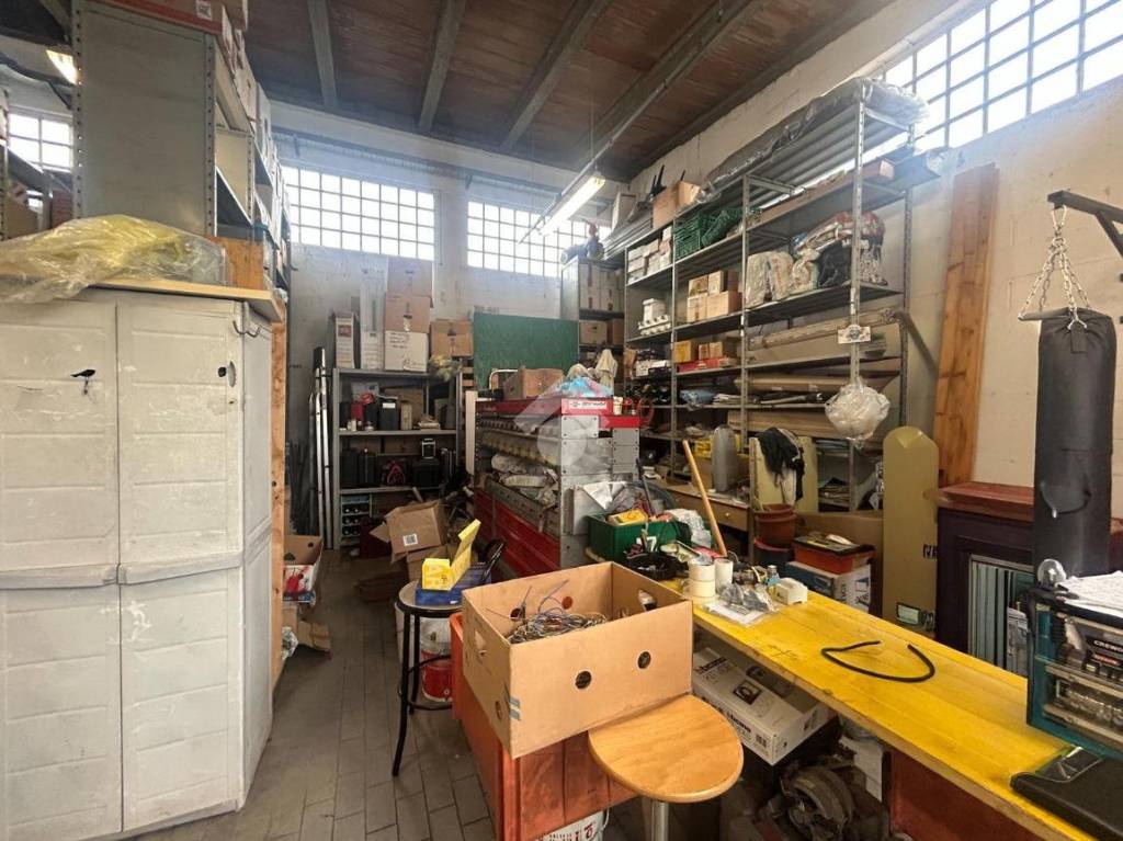 immagine annuncio 11 di 15