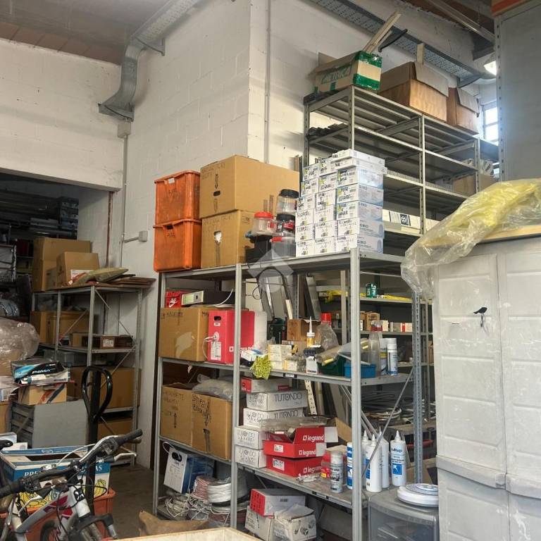 immagine annuncio 12 di 15