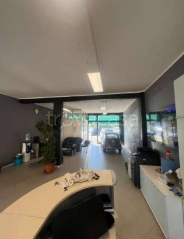 immagine annuncio 12 di 14