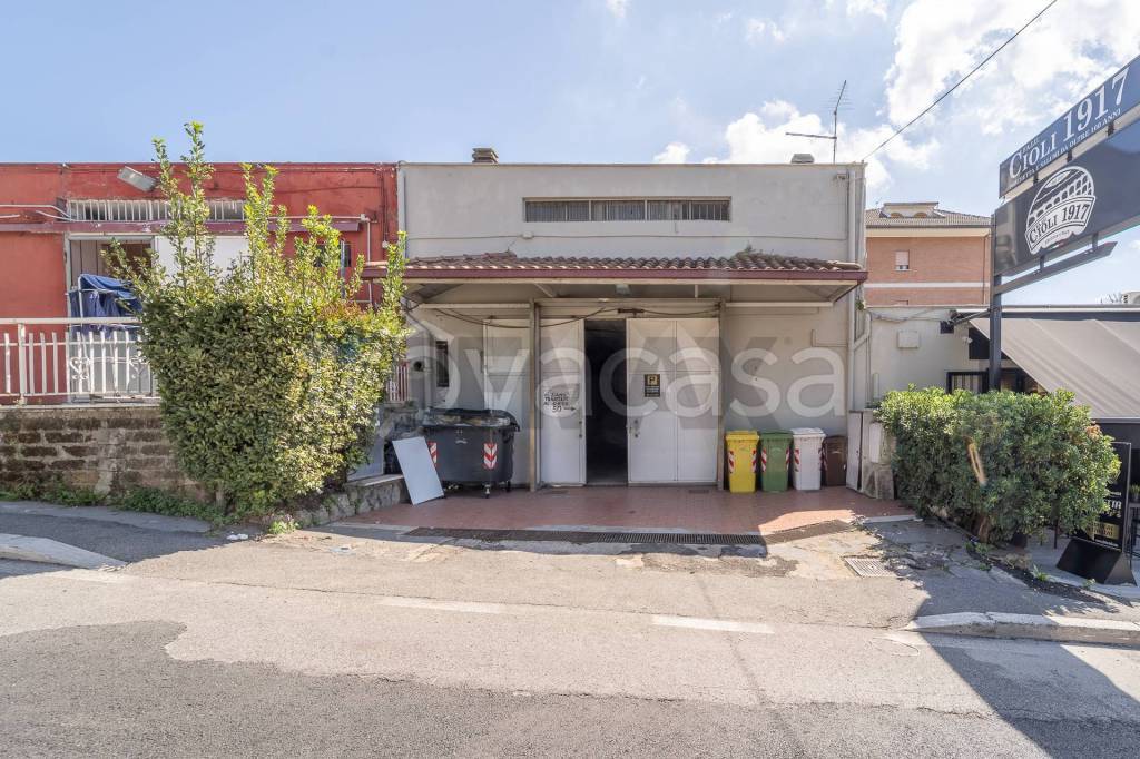 immagine annuncio 1 di 11