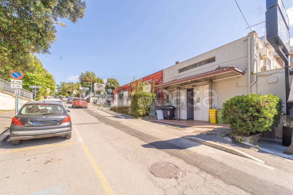 immagine annuncio 10 di 11