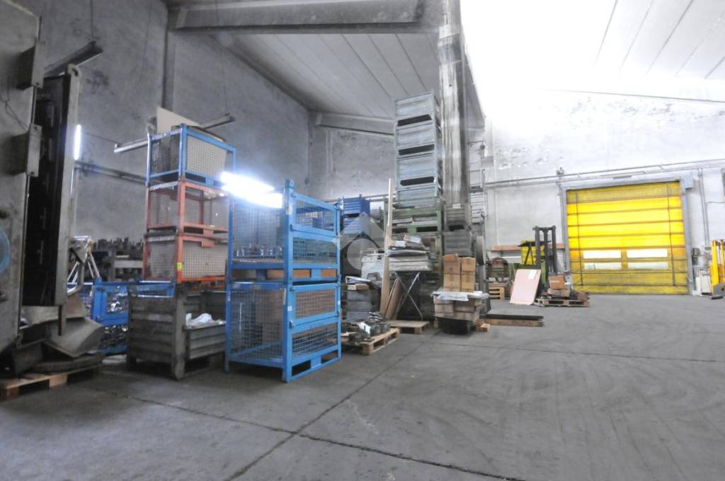 immagine annuncio 4 di 15