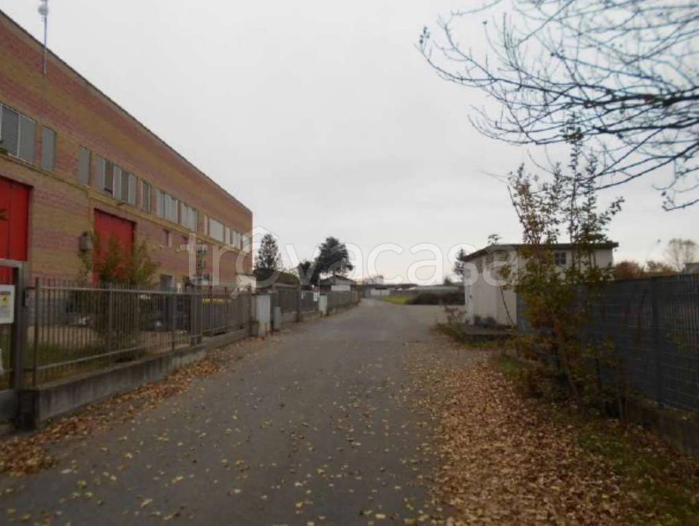 immagine annuncio 2 di 11