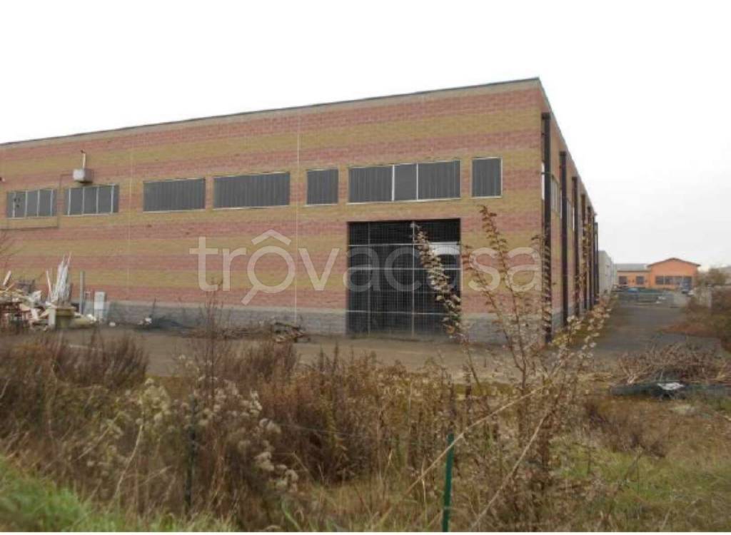 immagine annuncio 3 di 11