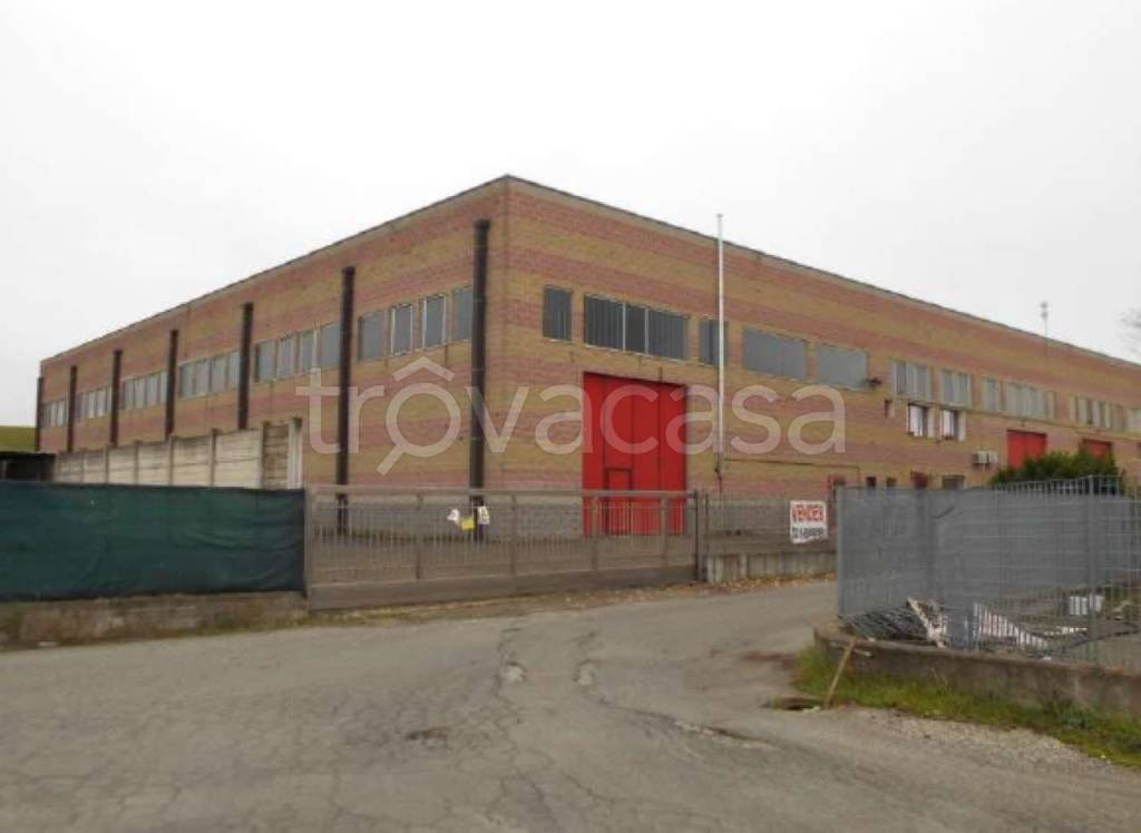 immagine annuncio 4 di 11