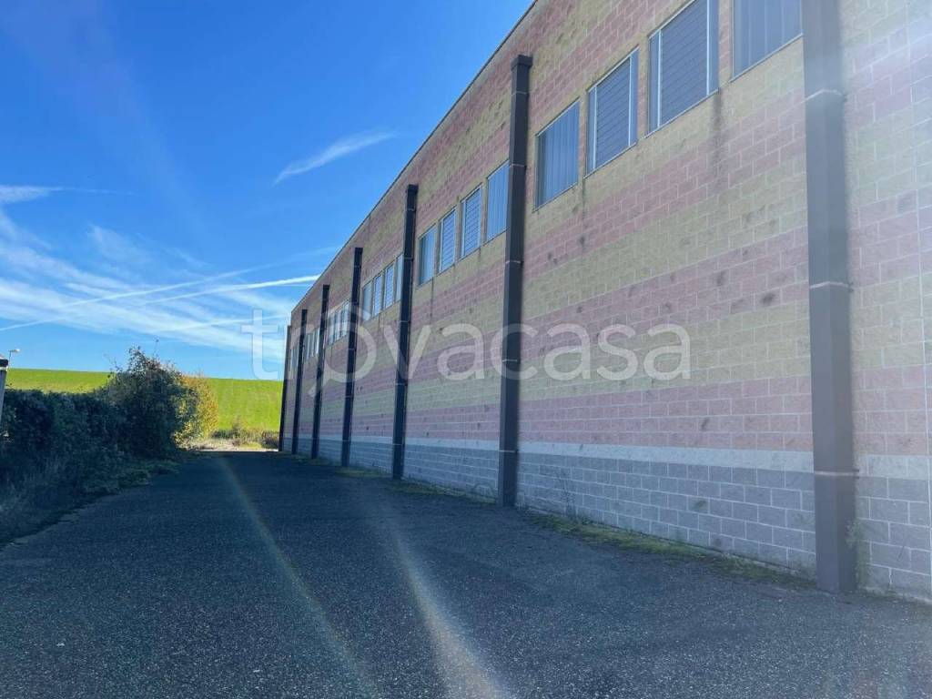 immagine annuncio 6 di 11