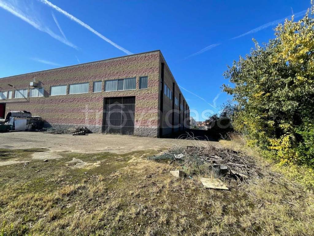 immagine annuncio 8 di 11