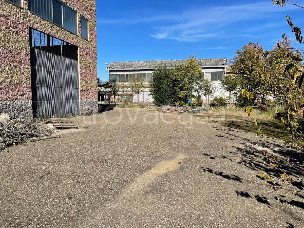 immagine annuncio 10 di 11