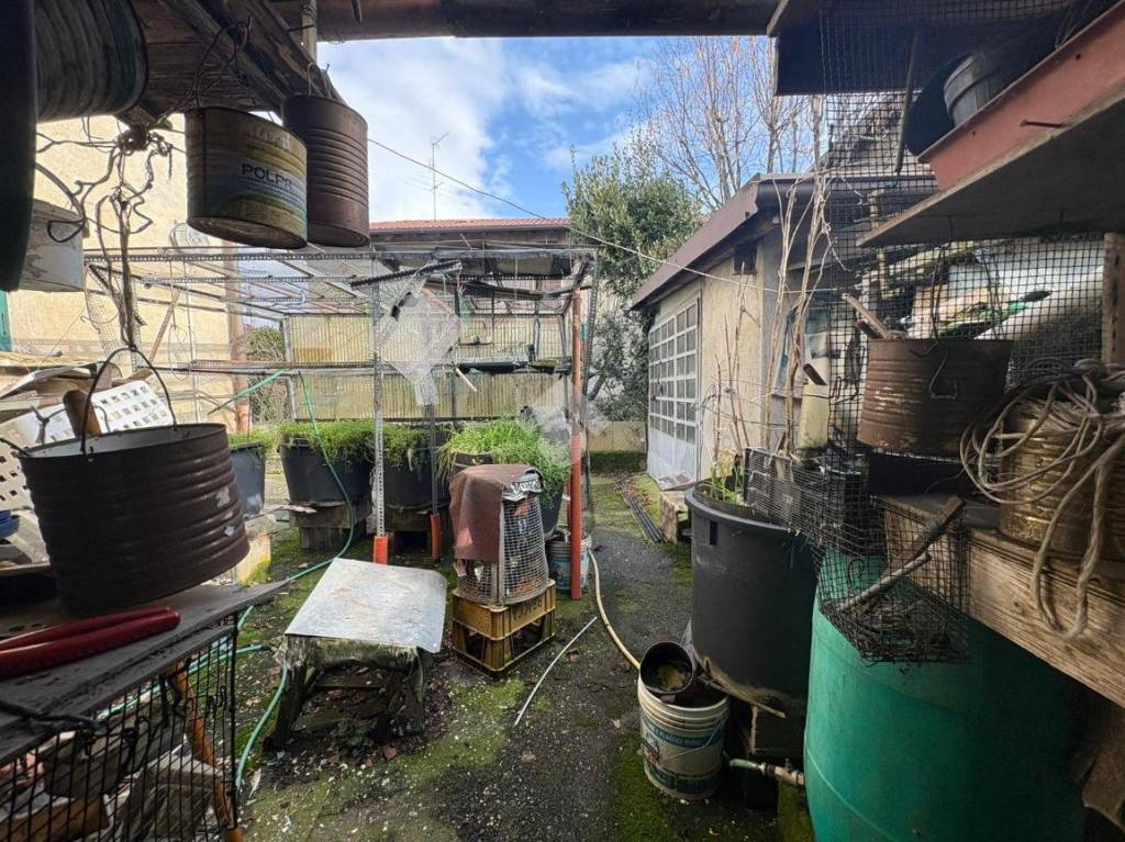 immagine annuncio 11 di 15