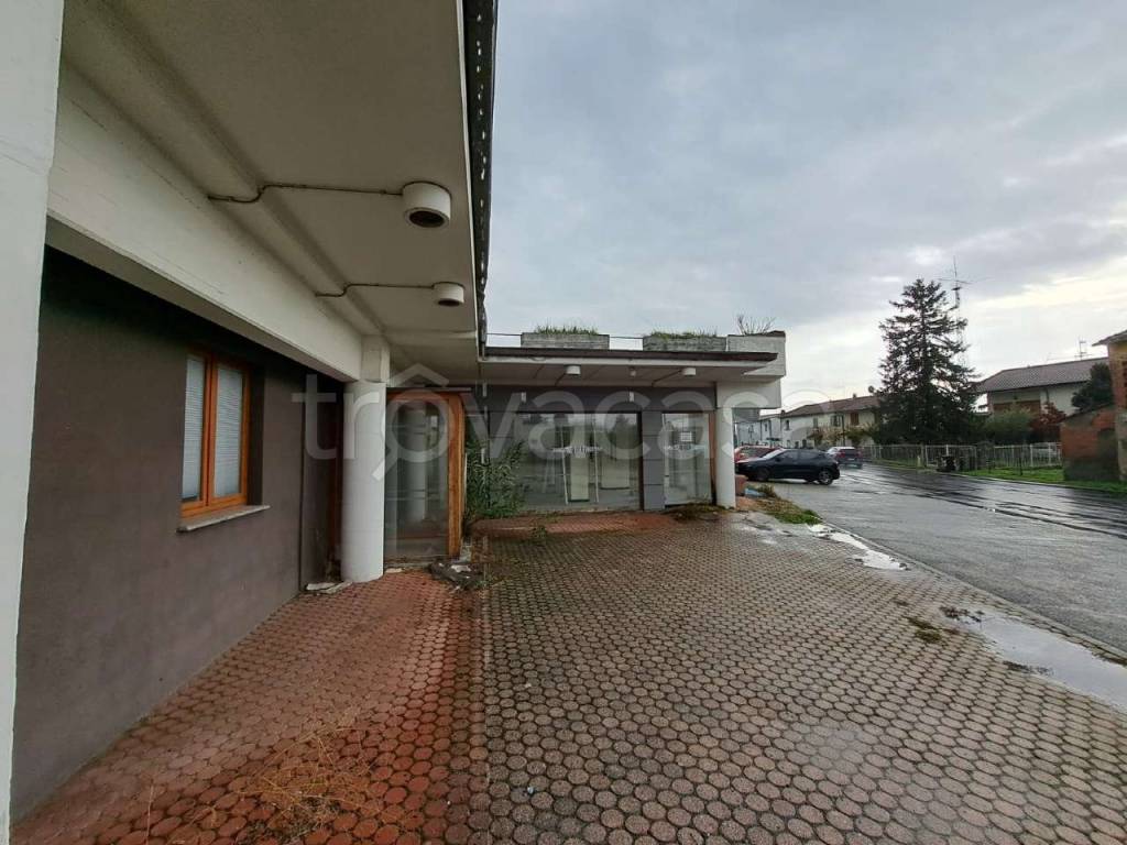 immagine annuncio 3 di 14