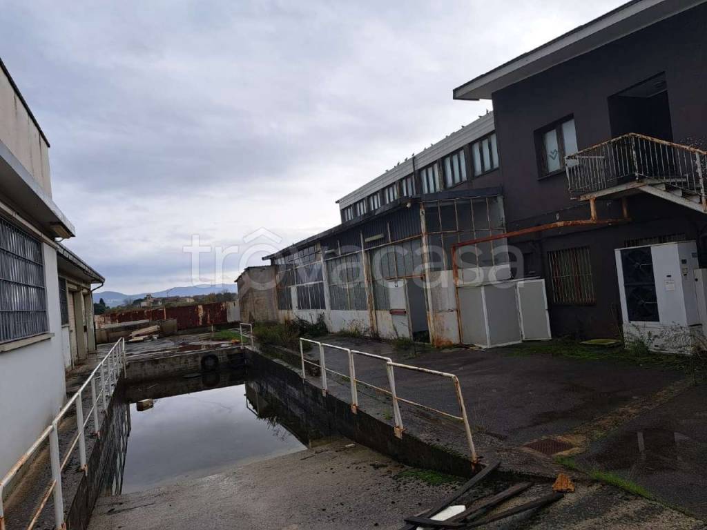 immagine annuncio 9 di 14