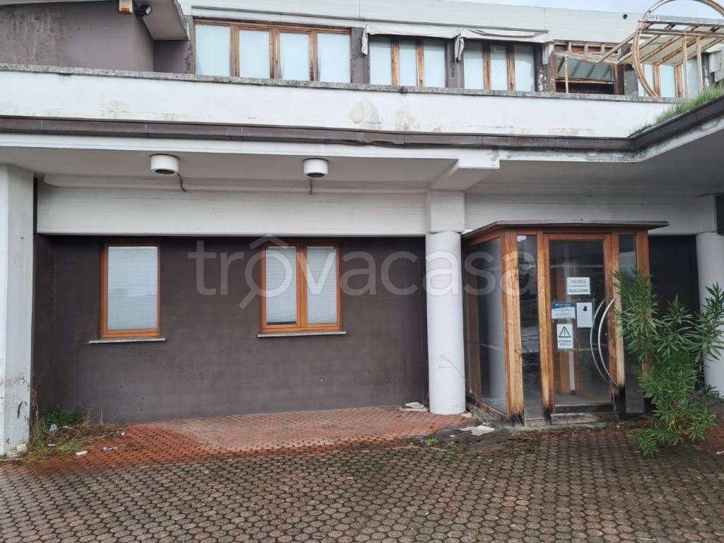 immagine annuncio 10 di 14