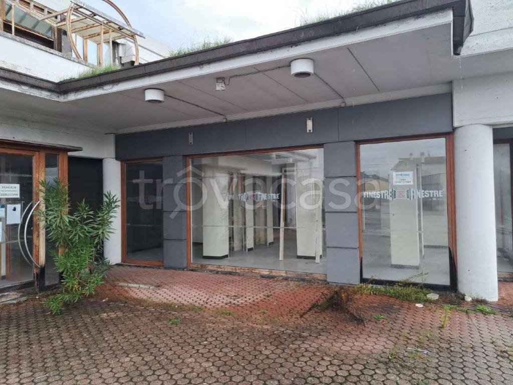 immagine annuncio 12 di 14