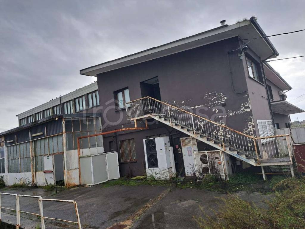 immagine annuncio 13 di 14