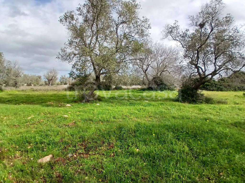 immagine annuncio 3 di 8