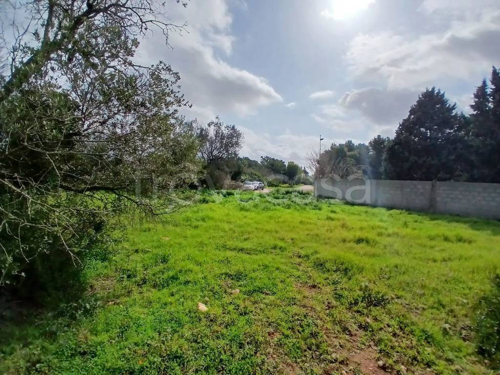 immagine annuncio 4 di 8