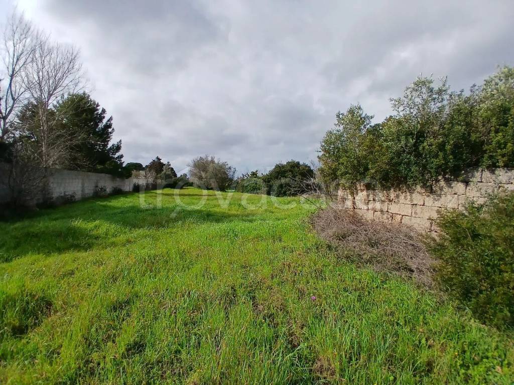 immagine annuncio 5 di 8