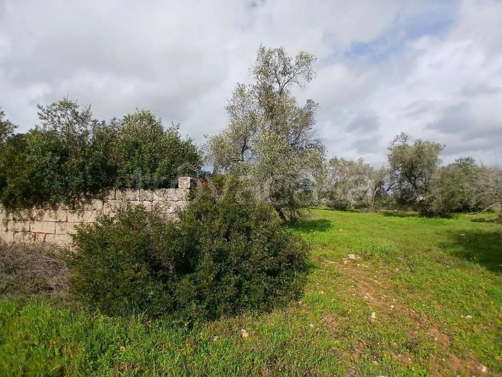 immagine annuncio 7 di 8