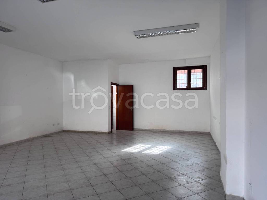 immagine annuncio 5 di 7