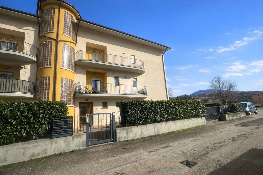 immagine annuncio 1 di 12