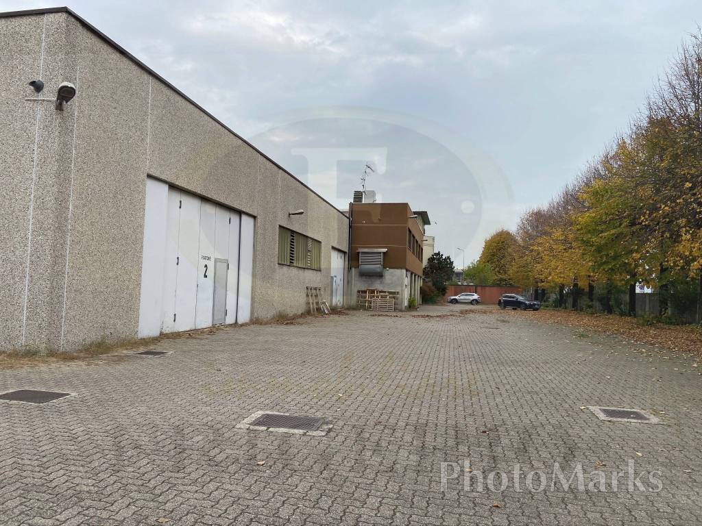 immagine annuncio 9 di 15