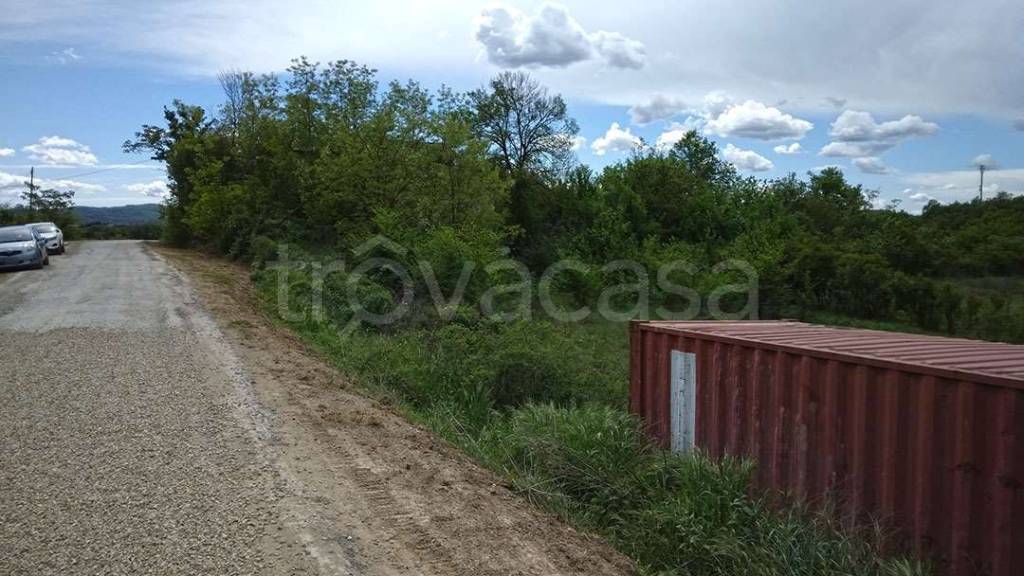 immagine annuncio 4 di 8