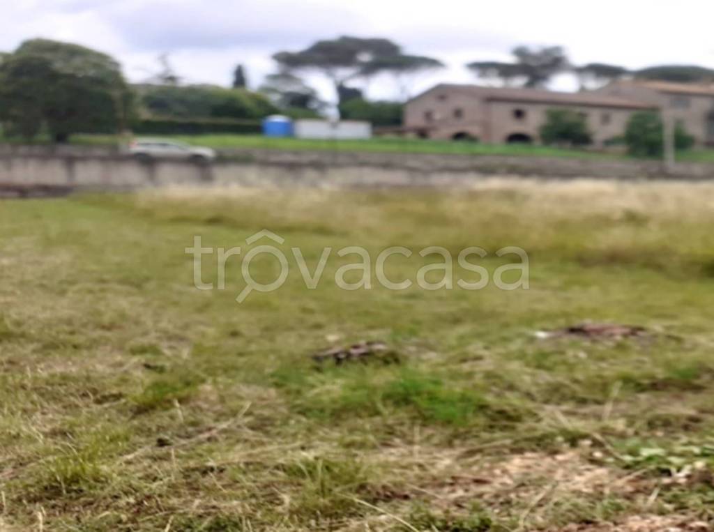 immagine annuncio 10 di 11