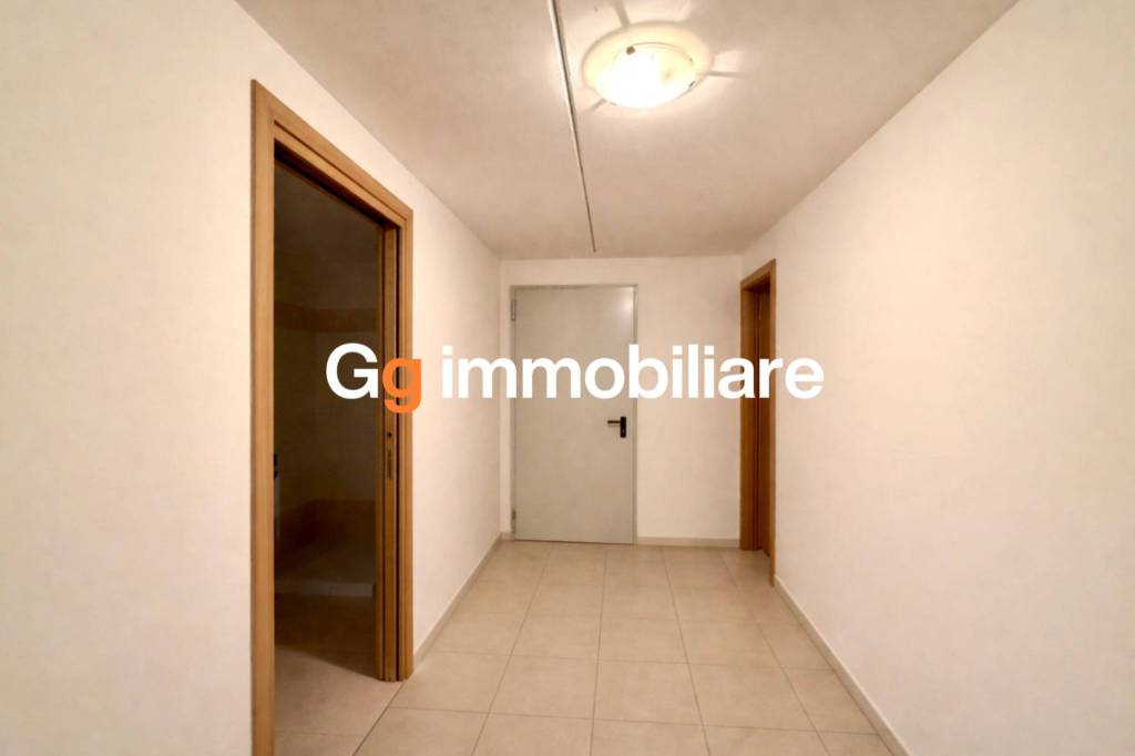 immagine annuncio 12 di 14