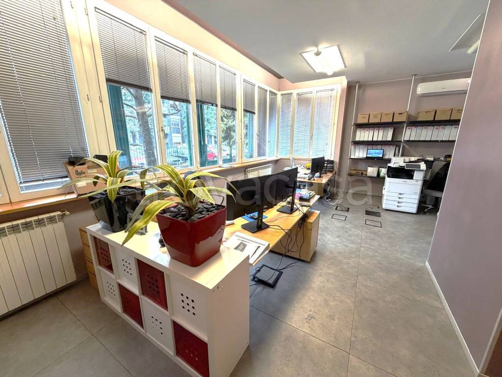 immagine annuncio 1 di 8