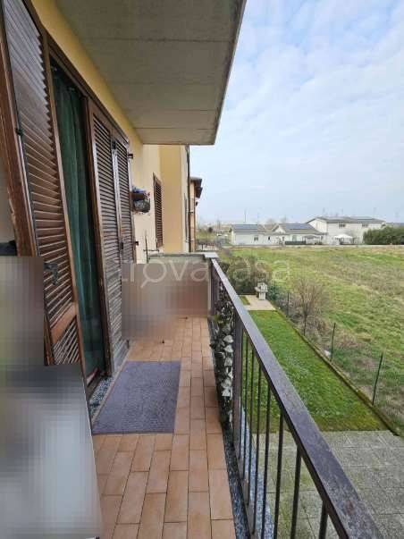 immagine annuncio 4 di 14