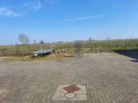 immagine annuncio 6 di 14